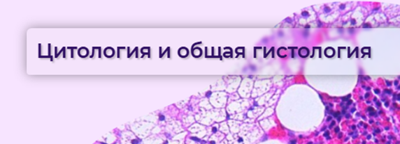 image_card